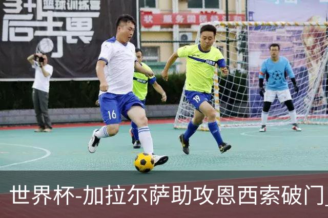 世界杯-加拉尔萨助攻恩西索破门 德国半场暂0-1巴拉圭